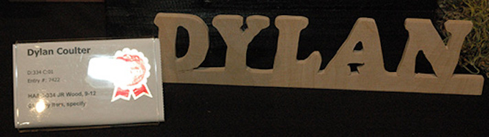 Scrollsaw project byDylan Coulter